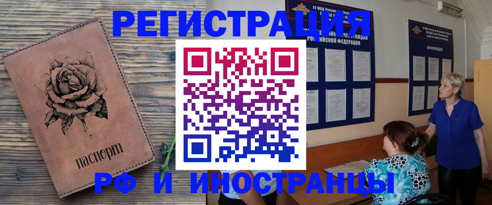 прописка штамп в Апатитах